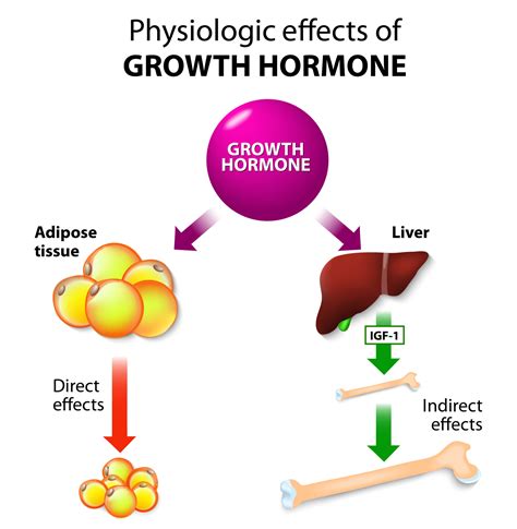 Growth Hormone.